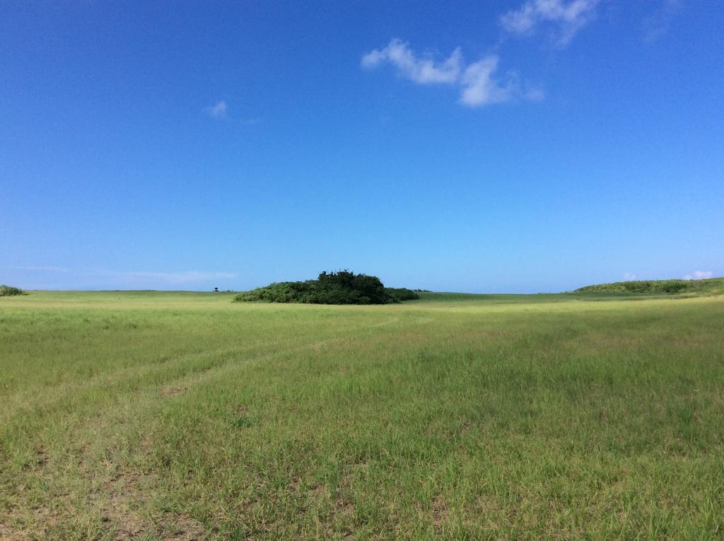 הוילה Miyakojima  Seaside House Nirai מראה חיצוני תמונה